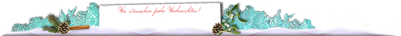 Frohe Weihnachten wnscht das Team von Joy-Venture-Diving