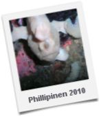 Phillipinen 2010