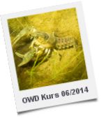 OWD Kurs 06/2014