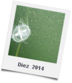 Diez  2014