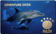 Kurs des Monats: Deep Diver (Tieftauchen)