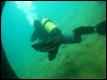 Joy-Venture-Diving