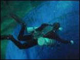 Joy-Venture-Diving