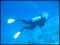 Joy-Venture-Diving