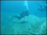 Joy-Venture-Diving