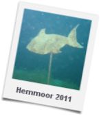 Hemmoor 2011