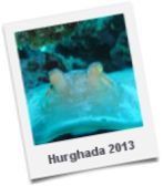 Hurghada 2013