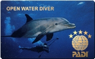 Open Water Diver (OWD)