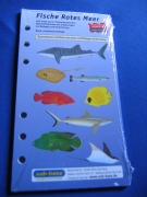 Fischbestimmungskarten 