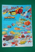 Fischbestimmungskarten , Rotes Meer Illustriert