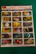 Fischbestimmungskarten , Rotes Meer 
