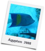 gypten 2008